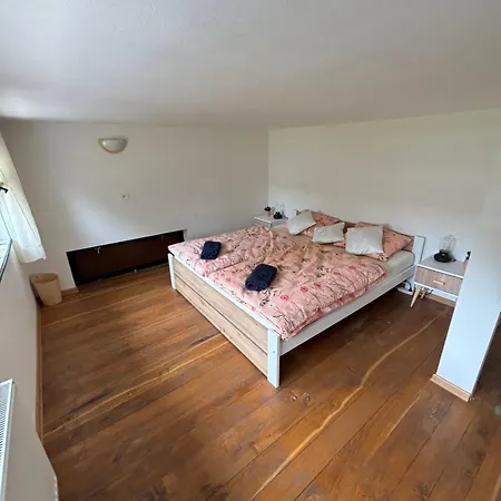 Loft U Kotynku *